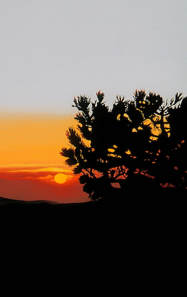 A Peaceful End Archival Print