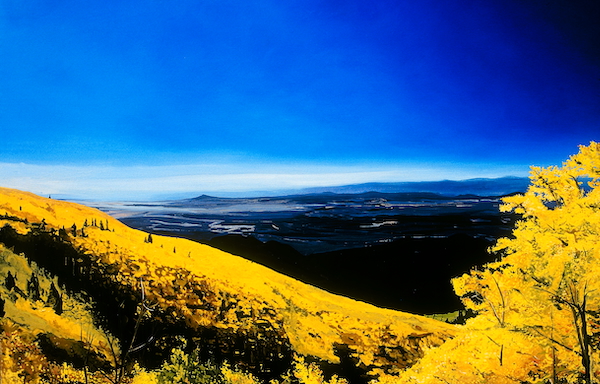 An Eagle's View Archival Print